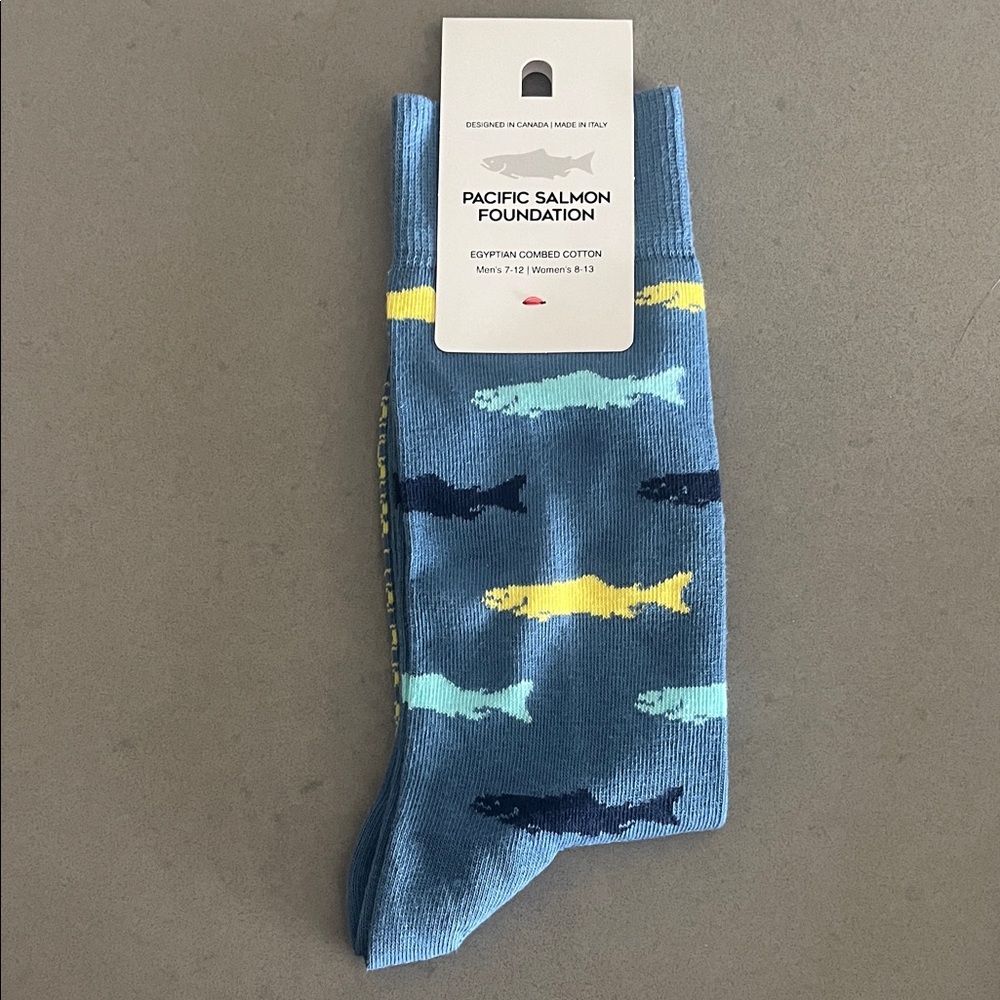 Blue Casual Socks